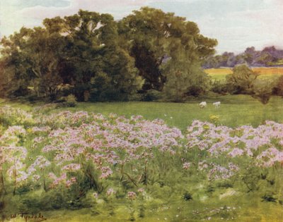 The New Forest: Riversdale, Boldre (colour litho) 作者 沃尔特·弗雷德里克·屋顶·廷代尔