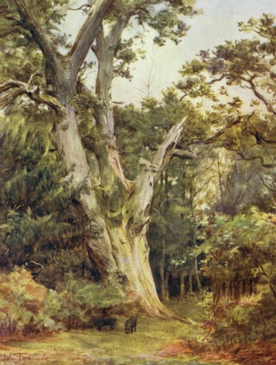 The New Forest: The King at Boldrewood (colour litho) 作者 沃尔特·弗雷德里克·屋顶·廷代尔