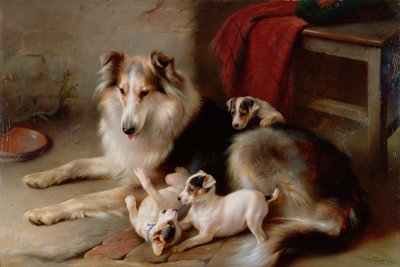 一只牧羊犬与狐狸梗小狗，1913年 作者 Walter Hunt