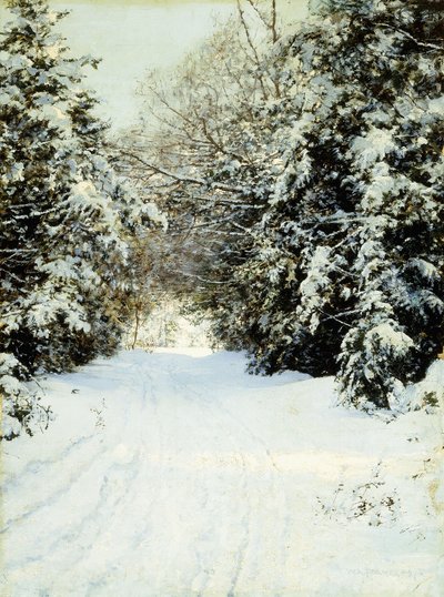 积雪的树木 作者 沃尔特·劳特·帕尔默