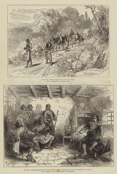 俄土战争 作者 Walter Paget