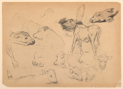牛、羊头和猪的研究 作者 沃尔特·斯劳（Walter Shirlaw）