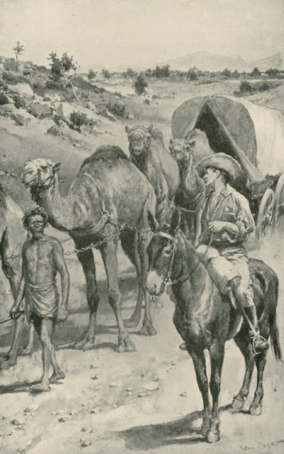 澳大利亚西部的Camel-Caravan 作者 沃尔特·斯坦利·佩吉特