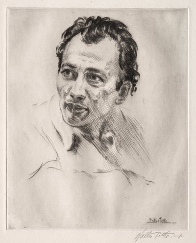 Henri Caro-Delvaille, No. 作者 Walter Tittle
