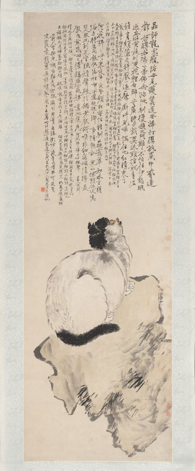 猫。 作者 王丽