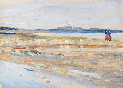 突尼斯海滩，1905年。 作者 瓦西里·康定斯基