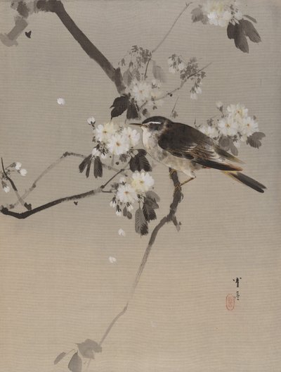 花枝上的鸟，约1887年。 作者 渡边页伊