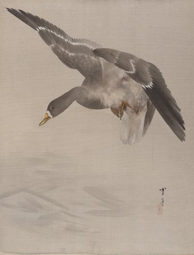 鸭子，约。 1887年。 作者 渡边页伊