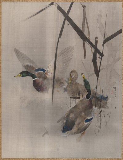 鸭子在仓促，ca。 1887年。 作者 渡边页伊