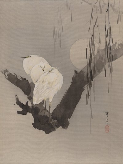 一棵树的白鹭在晚上，ca。 1887年。 作者 渡边页伊