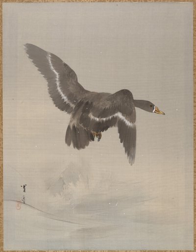 飞鹅，约1887年。 作者 渡边页伊