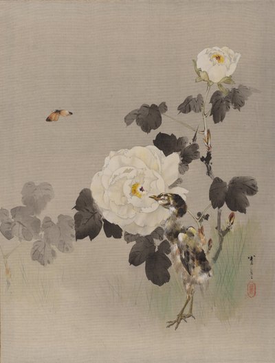 玫瑰，幼鸟和蝴蝶，约。 1887年。 作者 渡边页伊