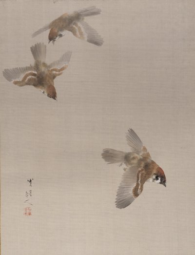 麻雀飞翔，约1887年。 作者 渡边页伊