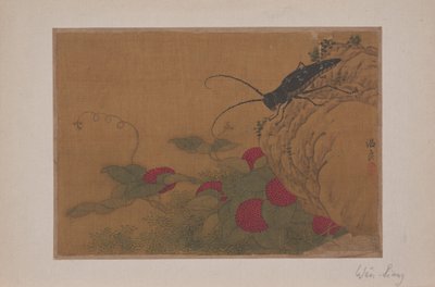 岩石上的蚱蜢，15世纪。 作者 文亮