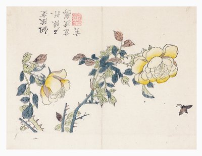 芥菜籽园 作者 文殊超