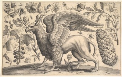 A Griffin，1625-77。 作者 瓦茨劳斯·霍拉尔