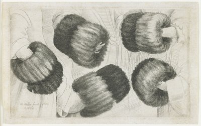 五个视图中的一个Muff，1645-1646 作者 瓦茨劳斯·霍拉尔