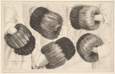 莫夫的五种观点，1645-46。 作者 瓦茨劳斯·霍拉尔