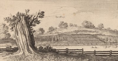 阿尔伯里，1645年。 作者 瓦茨劳斯·霍拉尔