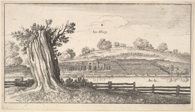 有树桩的奥尔伯里在前景，1625-77。 作者 瓦茨劳斯·霍拉尔