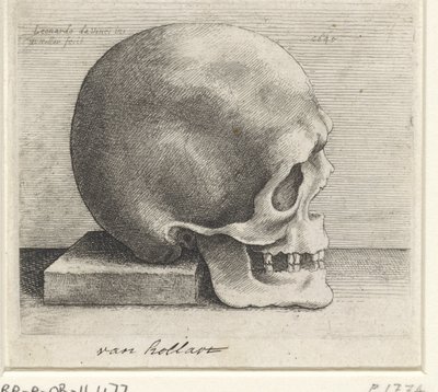 头骨解剖研究 作者 达芬奇（Leonardo da Vinci）