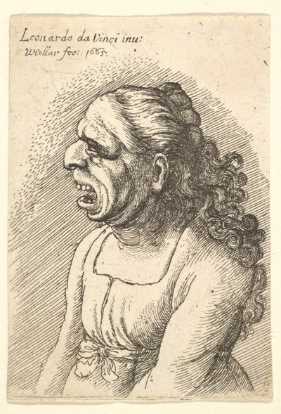 妇女的半身像，张开嘴巴，长卷发落在肩上，穿着……，1665年。 作者 瓦茨劳斯·霍拉尔