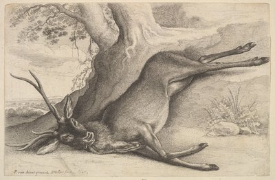 死鹿，1646年。 作者 瓦茨劳斯·霍拉尔