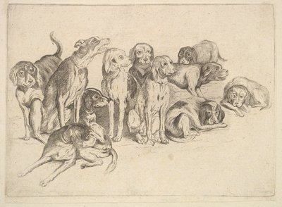 十一猎犬，1625-77年。 作者 瓦茨劳斯·霍拉尔