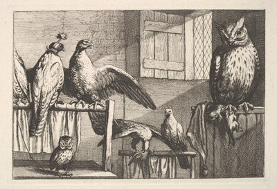 鹰和猫头鹰，1625-77。 作者 瓦茨劳斯·霍拉尔