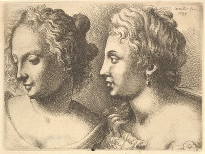 两个年轻妇女的头，1645年。 作者 瓦茨劳斯·霍拉尔
