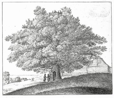 在汉普斯特德的空心树，1663年 作者 瓦茨劳斯·霍拉尔