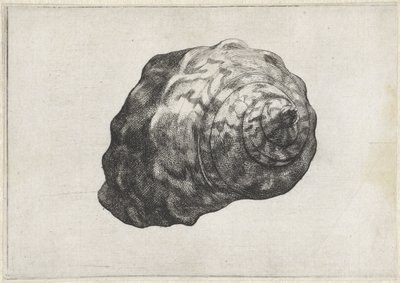 Schelp, 涡轮增压发动机
Schelpen (系列名称) 作者 瓦茨劳斯·霍拉尔