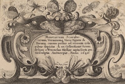 标题页，1646年。 作者 瓦茨劳斯·霍拉尔