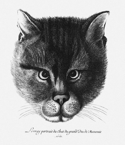 俄罗斯沙皇亚历克西斯一世·米哈伊洛维奇的猫的真实画像 作者 瓦茨劳斯·霍拉尔