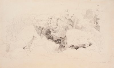 森林中的石屑 作者 维尔纳·霍尔姆伯格