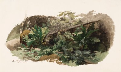 一棵杉树倒在蕨类植物上；一头牛（双面作品） 作者 维尔纳·霍尔姆伯格