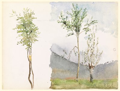 风景素描 作者 小惠特尼·沃伦