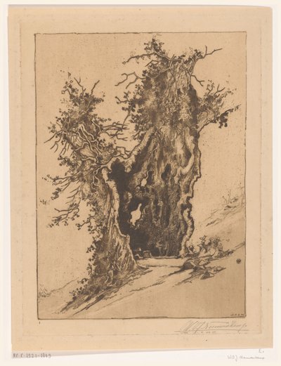 瑞士塞利斯堡附近的空心树
空心树（原标题） 作者 Wijnand Otto Jan Nieuwenkamp（艺术家签名）