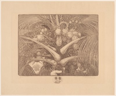 椰子树顶
热带世界（物体上的原标题） 作者 Wijnand Otto Jan Nieuwenkamp（艺术家签名）