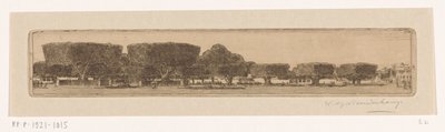 日惹苏丹王宫花园中的瓦林树
日惹广场（原标题） 作者 Wijnand Otto Jan Nieuwenkamp（艺术家签名）