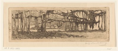 布滕佐尔格（Buitenzorg）花园中的腊肠树
在Buitenzorg的花园里（原标题） 作者 Wijnand Otto Jan Nieuwenkamp（艺术家签名）