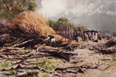 工作中的雅弗（彩色石版画） 作者 威尔弗里德·威廉姆斯·鲍尔