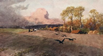 犁地（彩色印刷） 作者 威尔弗里德·威廉姆斯·鲍尔