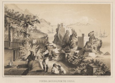 丰沙尔，马德拉，来自Curral，1885年 作者 威廉·约瑟夫·海涅