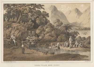 村庄村博宁群岛，1855年 作者 威廉·约瑟夫·海涅