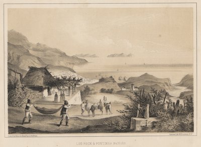 Loo Rock und Pontinha Madeira，1855 作者 威廉·约瑟夫·海涅