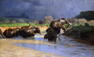 大象沐浴；沐浴大象，1908年 作者 威廉·库纳特