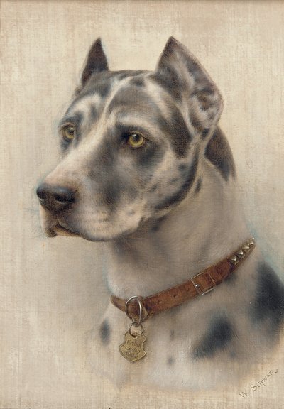 杜宾犬的头（布面油画） 作者 威廉·施瓦尔