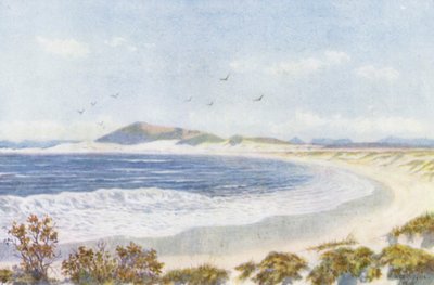 布劳沃贝格和桌湾头（彩色石版画） 作者 威廉·韦斯特霍芬
