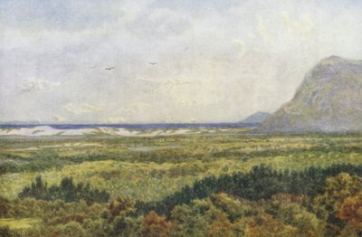 康斯坦丁山谷和福尔斯湾，以及开普角（彩色石版画） 作者 威廉·韦斯特霍芬
